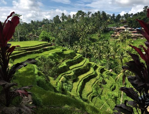 Ubud (Bali) – INDONÉSIA