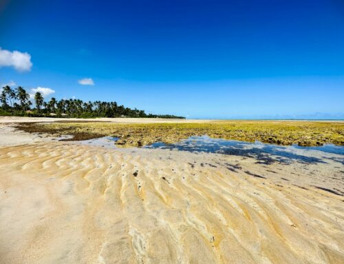 ALAGOAS – litoral e interior (Piranhas e Ilha do Ferro)