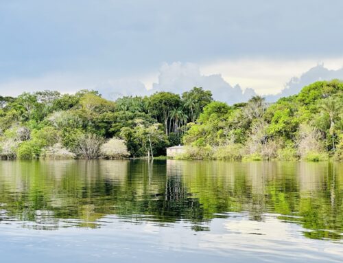 AMAZONAS (hotel de floresta)
